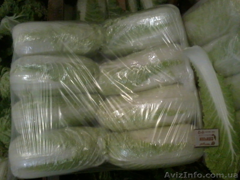 пекинская капуста офигенная - <ro>Изображение</ro><ru>Изображение</ru> #1, <ru>Объявление</ru> #829164