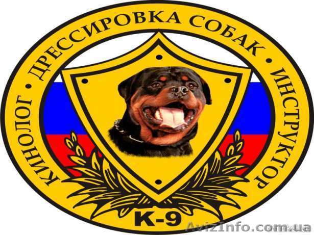 Консультации кинолога - <ro>Изображение</ro><ru>Изображение</ru> #1, <ru>Объявление</ru> #819539