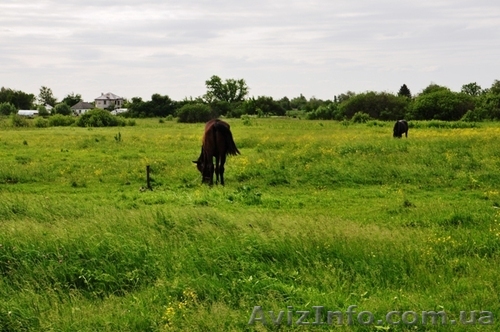 Хазяин. Срочно продам землю - Центр, район универмага \\\"Рязань\\\".  8 соток - <ro>Изображение</ro><ru>Изображение</ru> #1, <ru>Объявление</ru> #850013
