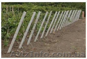 Столбики бетонные для ограждения - <ro>Изображение</ro><ru>Изображение</ru> #1, <ru>Объявление</ru> #890497