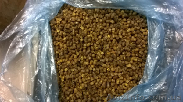 Перга оптом от 1 кг - <ro>Изображение</ro><ru>Изображение</ru> #1, <ru>Объявление</ru> #1388930