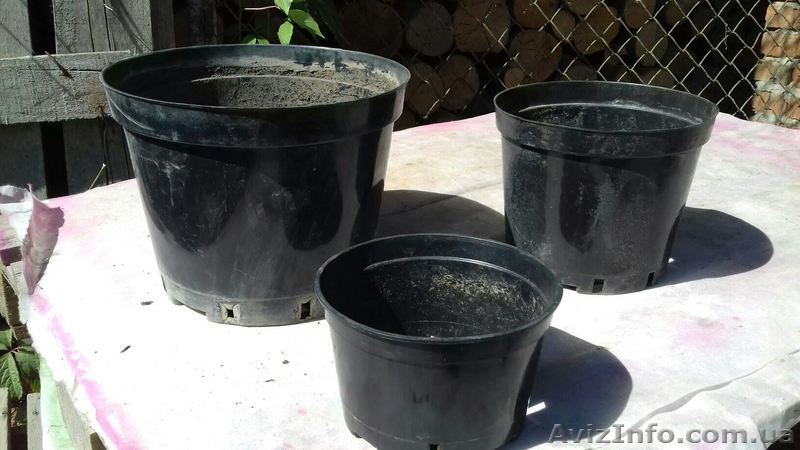 Продаются горшки для цветов б/у - <ro>Изображение</ro><ru>Изображение</ru> #1, <ru>Объявление</ru> #1483844