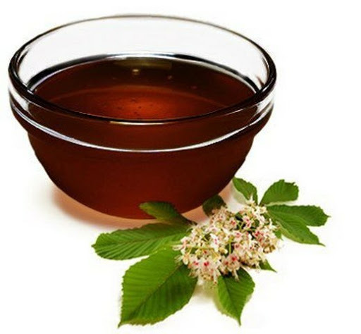 Купим каштановый мед высокого качества - <ro>Изображение</ro><ru>Изображение</ru> #1, <ru>Объявление</ru> #1685386