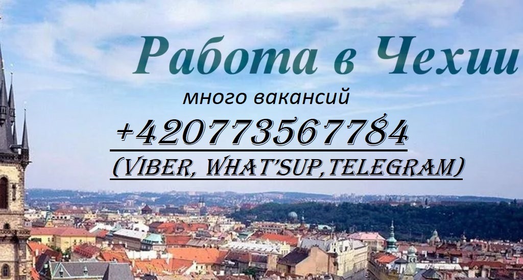 Работа в Чехии (много вакансий) - <ro>Изображение</ro><ru>Изображение</ru> #1, <ru>Объявление</ru> #1708609