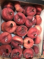 Продаем парагвайский персик из Испании - <ro>Изображение</ro><ru>Изображение</ru> #4, <ru>Объявление</ru> #1406258