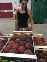 Продаем персики из Испании - <ro>Изображение</ro><ru>Изображение</ru> #1, <ru>Объявление</ru> #1366004