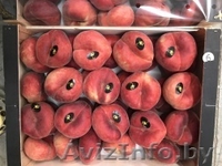 Продаем парагвайский персик из Испании - <ro>Изображение</ro><ru>Изображение</ru> #5, <ru>Объявление</ru> #1406258