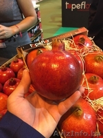 продаем гранат из Испании - <ro>Изображение</ro><ru>Изображение</ru> #3, <ru>Объявление</ru> #1337543