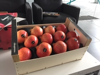 продаем гранат из Испании - <ro>Изображение</ro><ru>Изображение</ru> #6, <ru>Объявление</ru> #1337543