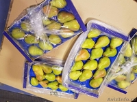 Продаю груши из Испании - <ro>Изображение</ro><ru>Изображение</ru> #3, <ru>Объявление</ru> #1406266