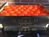 продаем мандарины из Испании(АКЦИЯ) - <ro>Изображение</ro><ru>Изображение</ru> #1, <ru>Объявление</ru> #1351630