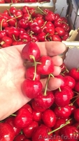 Продаем черешю из Испании - <ro>Изображение</ro><ru>Изображение</ru> #2, <ru>Объявление</ru> #1366003