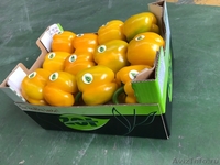 продаем перец из Испании - <ro>Изображение</ro><ru>Изображение</ru> #5, <ru>Объявление</ru> #1337540