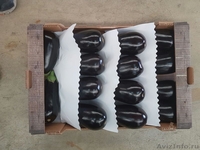 продаем баклажаны из Испании - <ro>Изображение</ro><ru>Изображение</ru> #6, <ru>Объявление</ru> #1337547