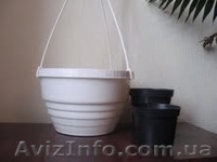 горшки для вечнозеленых - <ro>Изображение</ro><ru>Изображение</ru> #2, <ru>Объявление</ru> #72614