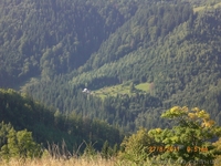 Зелёный отдых в Карпатах "У Димы" - <ro>Изображение</ro><ru>Изображение</ru> #2, <ru>Объявление</ru> #372905