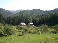 Зелёный отдых в Карпатах "У Димы" - <ro>Изображение</ro><ru>Изображение</ru> #8, <ru>Объявление</ru> #372905