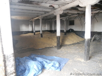 комерческая недвижымость - <ro>Изображение</ro><ru>Изображение</ru> #1, <ru>Объявление</ru> #501363