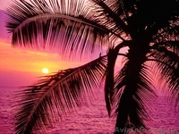 вышивка, вязание на заказ - <ro>Изображение</ro><ru>Изображение</ru> #2, <ru>Объявление</ru> #681030