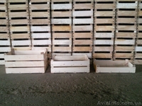 Евро-Ящик, Евро-Тара,Ящики деревянные - <ro>Изображение</ro><ru>Изображение</ru> #3, <ru>Объявление</ru> #687439