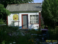 ДАЧА, участок 0,62 га в г. Черновцы - <ro>Изображение</ro><ru>Изображение</ru> #2, <ru>Объявление</ru> #718526