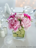 Организация праздников, ДР, корпоративов, свадеб, детских праздников - <ro>Изображение</ro><ru>Изображение</ru> #5, <ru>Объявление</ru> #732921