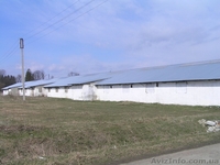 Помещение  для производства - <ro>Изображение</ro><ru>Изображение</ru> #1, <ru>Объявление</ru> #855725