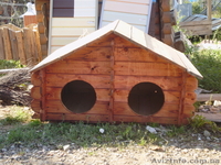 Собачьи будки             - <ro>Изображение</ro><ru>Изображение</ru> #3, <ru>Объявление</ru> #852223