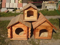 Собачьи будки             - <ro>Изображение</ro><ru>Изображение</ru> #2, <ru>Объявление</ru> #852223