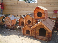 Собачьи будки             - <ro>Изображение</ro><ru>Изображение</ru> #1, <ru>Объявление</ru> #852223