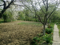 Дача на Цецино продажа хазяин - <ro>Изображение</ro><ru>Изображение</ru> #4, <ru>Объявление</ru> #896740