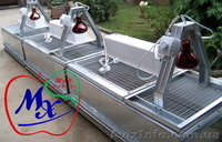 Клеточное оборудование для перепелиного хозяйства на 1000 голов. - <ro>Изображение</ro><ru>Изображение</ru> #2, <ru>Объявление</ru> #975648