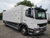 Грузоперевозки рефрижератором по Украине, Европе, странам СНГ - <ro>Изображение</ro><ru>Изображение</ru> #2, <ru>Объявление</ru> #1010702