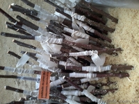 Подвой яблони М9, М106. Привитый сорт под заказ. - <ro>Изображение</ro><ru>Изображение</ru> #1, <ru>Объявление</ru> #1021612