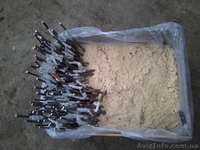 Подвой яблони М9, М106. Привитый сорт под заказ. - <ro>Изображение</ro><ru>Изображение</ru> #3, <ru>Объявление</ru> #1021612