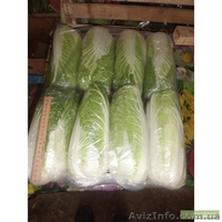 Сан Саннич - <ro>Изображение</ro><ru>Изображение</ru> #3, <ru>Объявление</ru> #1016398