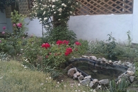 Отличный отдых на Азове п.Генгорка по экономным ценам - <ro>Изображение</ro><ru>Изображение</ru> #2, <ru>Объявление</ru> #1118658