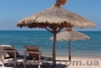 Качественный отдых на Азовском море круглый год! - <ro>Изображение</ro><ru>Изображение</ru> #5, <ru>Объявление</ru> #1330559