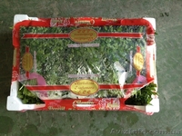 Продаем зелень из Испании - <ro>Изображение</ro><ru>Изображение</ru> #5, <ru>Объявление</ru> #1406261