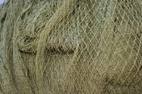 Дель узловая (капроновая сеть) - <ro>Изображение</ro><ru>Изображение</ru> #1, <ru>Объявление</ru> #1654914