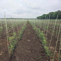 Продам опоры и колышки для растений Polyarm - <ro>Изображение</ro><ru>Изображение</ru> #1, <ru>Объявление</ru> #1687600