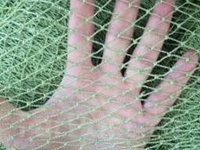 Дель узловая (капроновая сеть) - <ro>Изображение</ro><ru>Изображение</ru> #3, <ru>Объявление</ru> #1654914