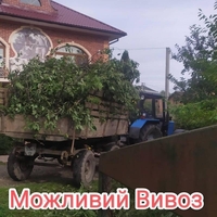 Спил дерев, валка, рубка, обрізка гілок у Чернівцях та області - <ro>Изображение</ro><ru>Изображение</ru> #2, <ru>Объявление</ru> #1733554