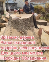 Спил дерев, валка, рубка, обрізка гілок у Чернівцях та області - <ro>Изображение</ro><ru>Изображение</ru> #3, <ru>Объявление</ru> #1733554