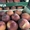 Продаем персики из Испании - <ro>Изображение</ro><ru>Изображение</ru> #2, <ru>Объявление</ru> #1366004