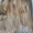 Куплю волосы у населения дорого  - <ro>Изображение</ro><ru>Изображение</ru> #2, <ru>Объявление</ru> #1513014