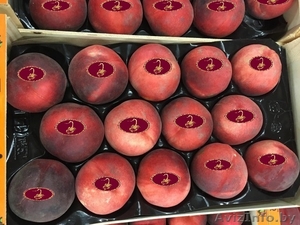 Продаем персики из Испании - <ro>Изображение</ro><ru>Изображение</ru> #5, <ru>Объявление</ru> #1366004