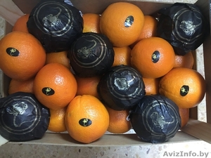 продаем апельсины из испании - <ro>Изображение</ro><ru>Изображение</ru> #3, <ru>Объявление</ru> #1337539