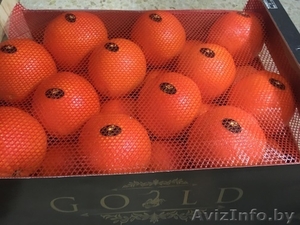 продаем апельсины из испании - <ro>Изображение</ro><ru>Изображение</ru> #4, <ru>Объявление</ru> #1337539