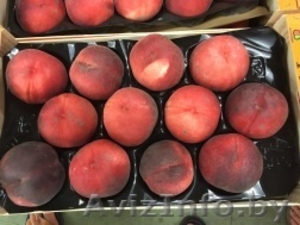 Продаем персики из Испании - <ro>Изображение</ro><ru>Изображение</ru> #4, <ru>Объявление</ru> #1366004